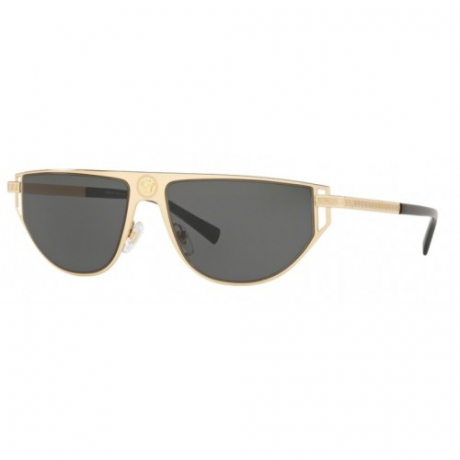 Men's sunglasses Polo Ralph Lauren 0PH4151