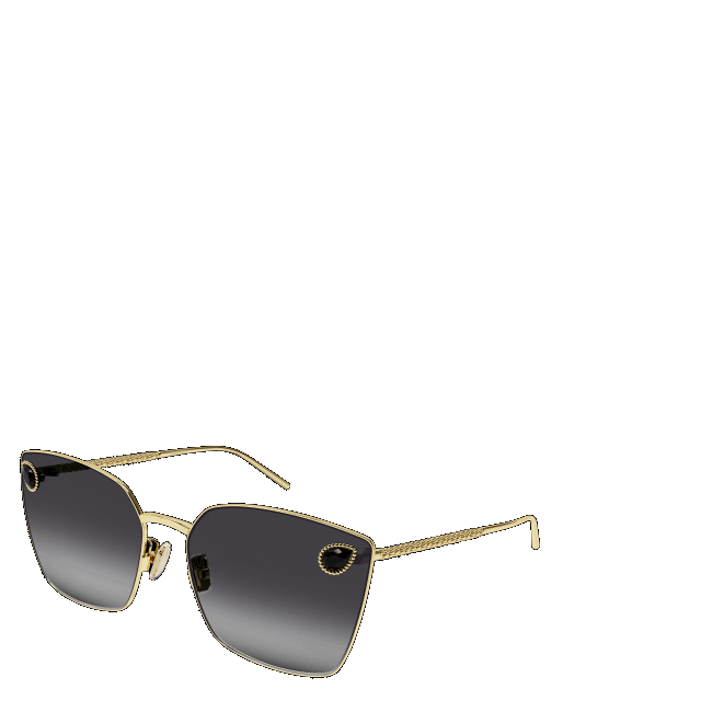 Women's sunglasses Gucci GG0666S
