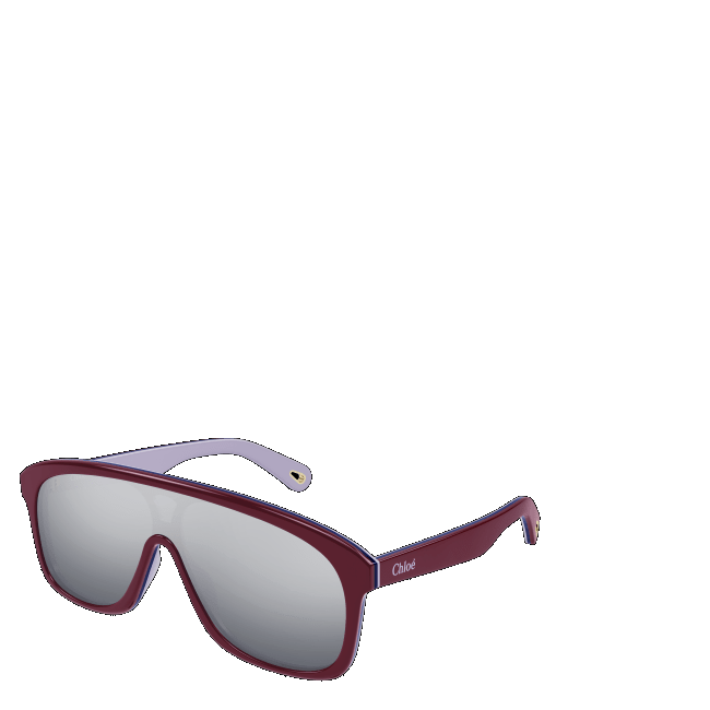 Women's sunglasses Gucci GG0024S